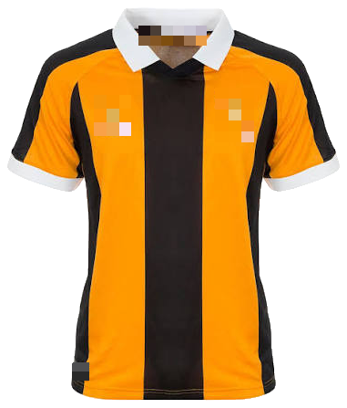 H-U-L (Tigers) Home 2627 front